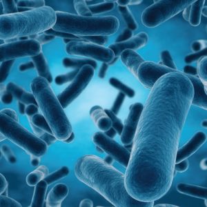 Diet and the Gut Microbiome
